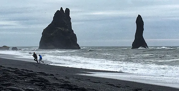 top-reykjavik-experiences-best-tours-&-tips-for-winter-travel-mid-content-8